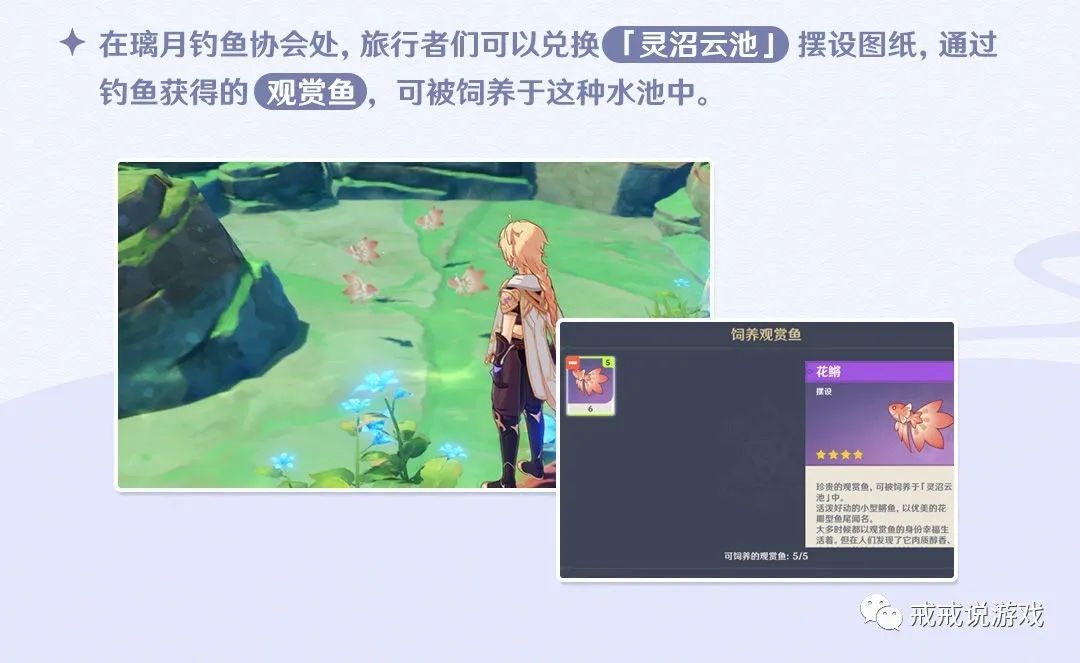 原神釣魚玩法_原神釣魚干嘛的_原神釣魚怎么玩兒