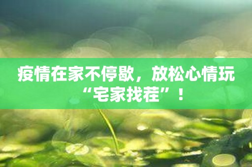 疫情在家不停歇，放松心情玩“宅家找茬”！
